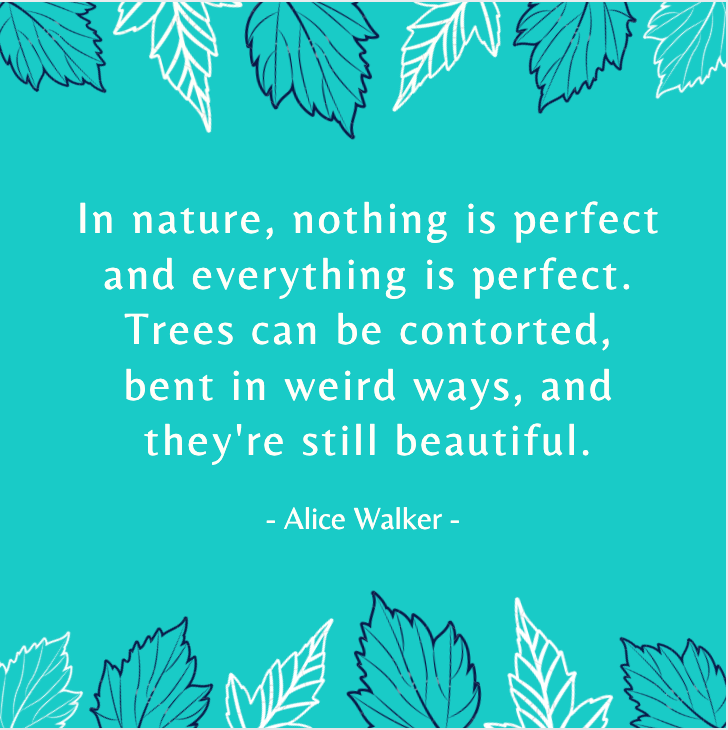 "In nature, nothing is perfect and everything is perfect. Trees can be contorted, bent in weird ways, and they're still beautiful." - Quote by Alice Walker